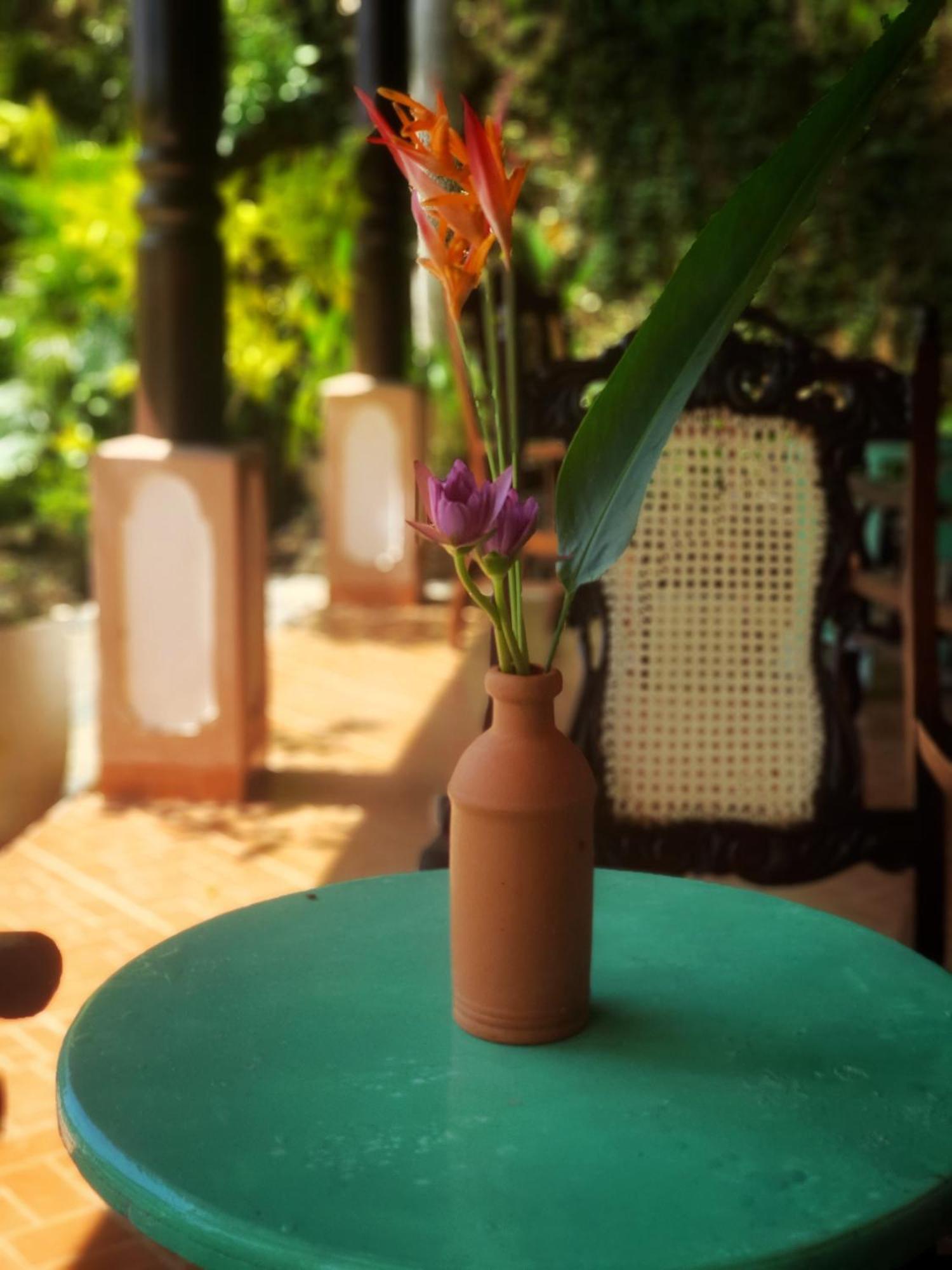 Hill House Guest Hotel Mirissa Exterior foto
